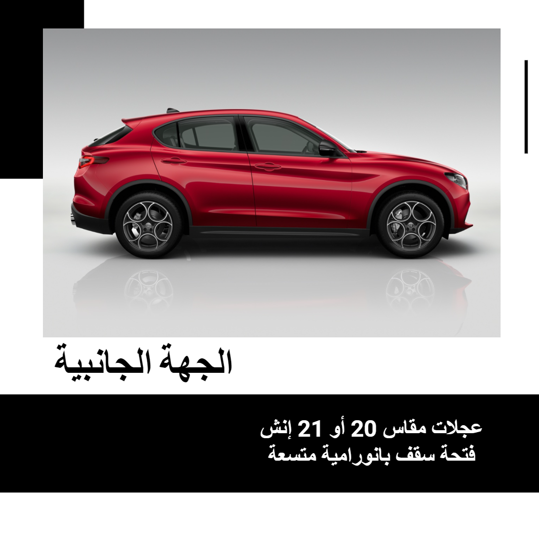 جانب-ستيلفيو-2024